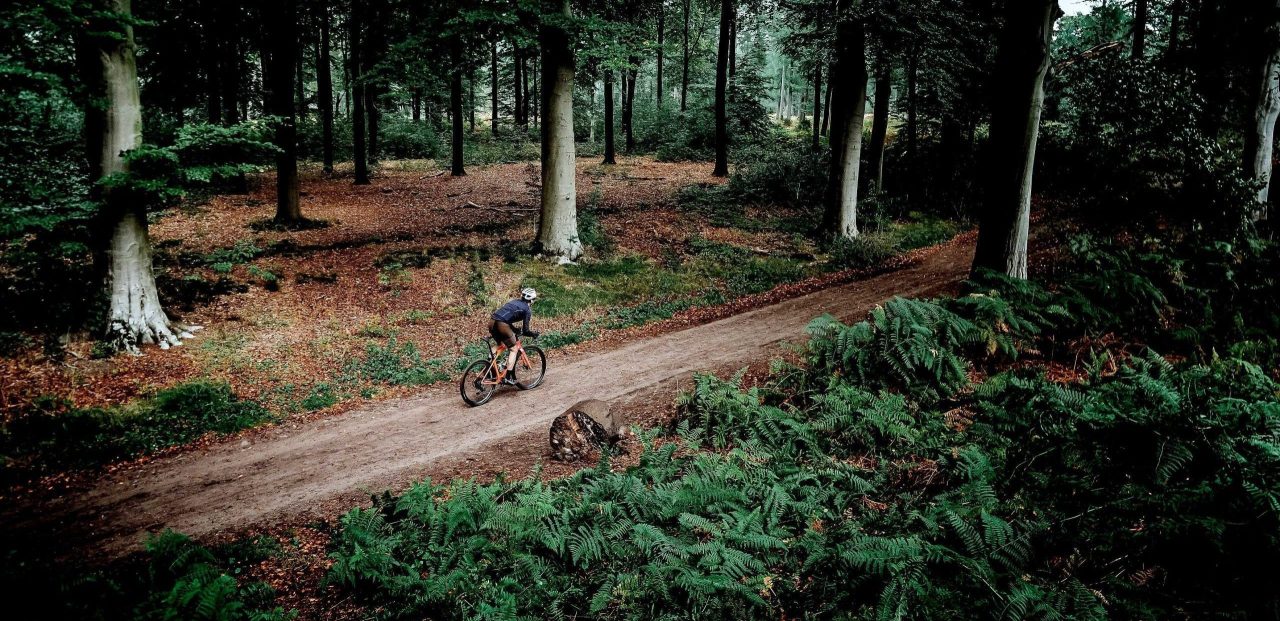 Fietsen door de bosrijke omgeving rondom Lage Vuursche