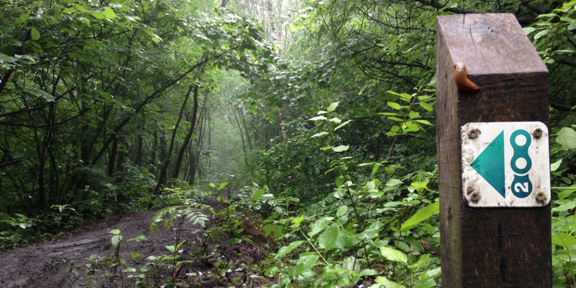 Limburg 200: een nieuwe ultra MTB en gravel uitdaging in Zuid-Limburg