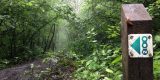 Limburg 200: een nieuwe ultra MTB en gravel uitdaging in Zuid-Limburg