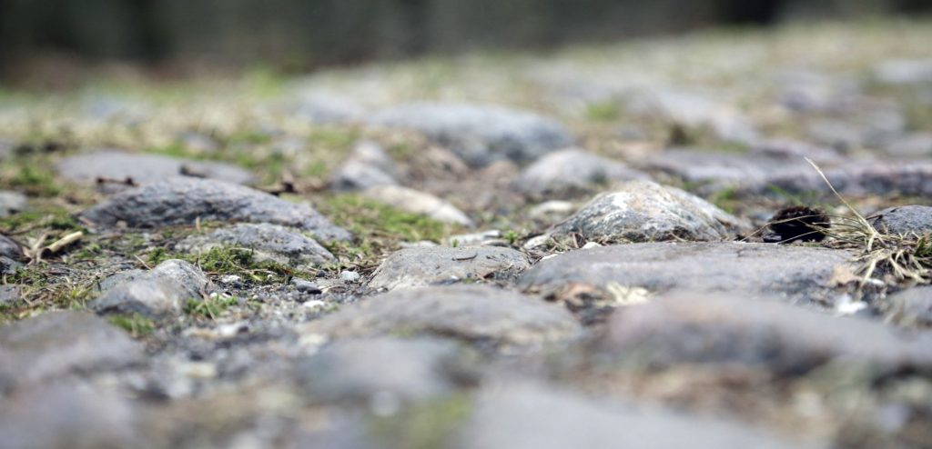 Dit zijn de vijf langste keienstroken in Drenthe