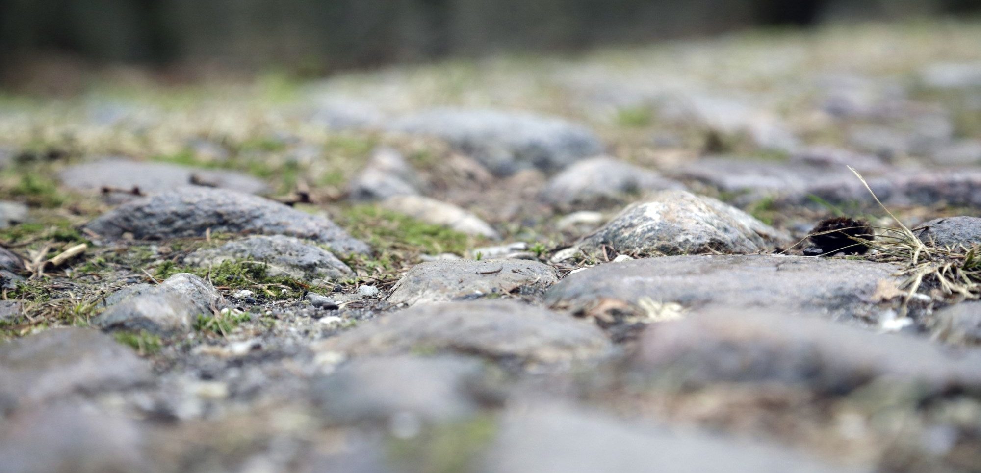 kasseien in de Ronde van Drenthe 2022