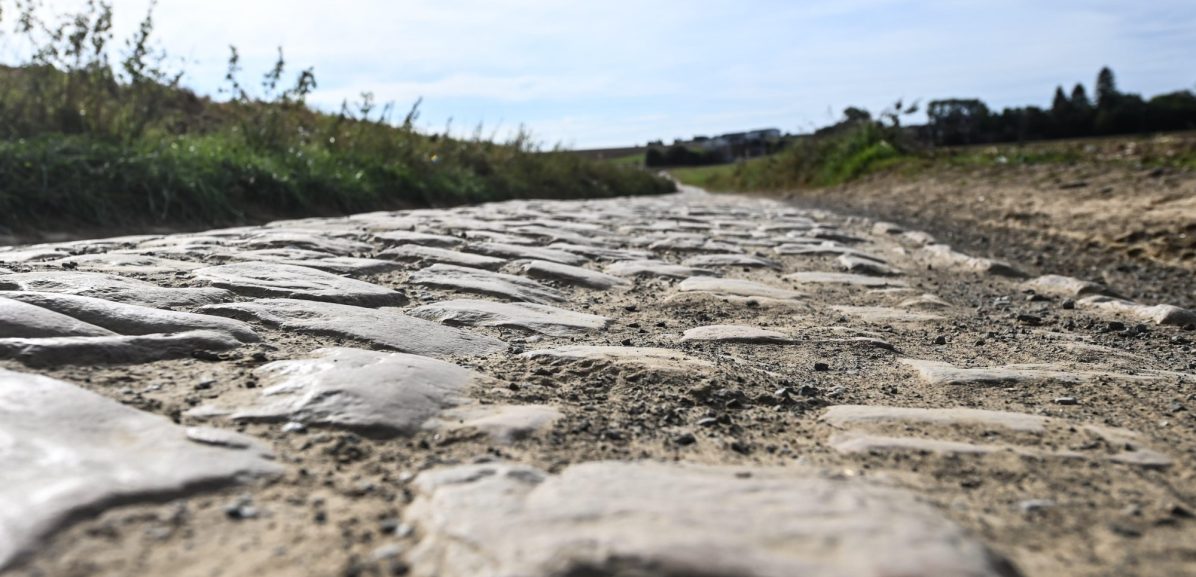 Peloton geiten en schapen begraast Bos van Wallers met oog op Parijs-Roubaix