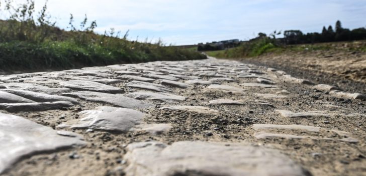 Peloton geiten en schapen begraast Bos van Wallers met oog op Parijs-Roubaix