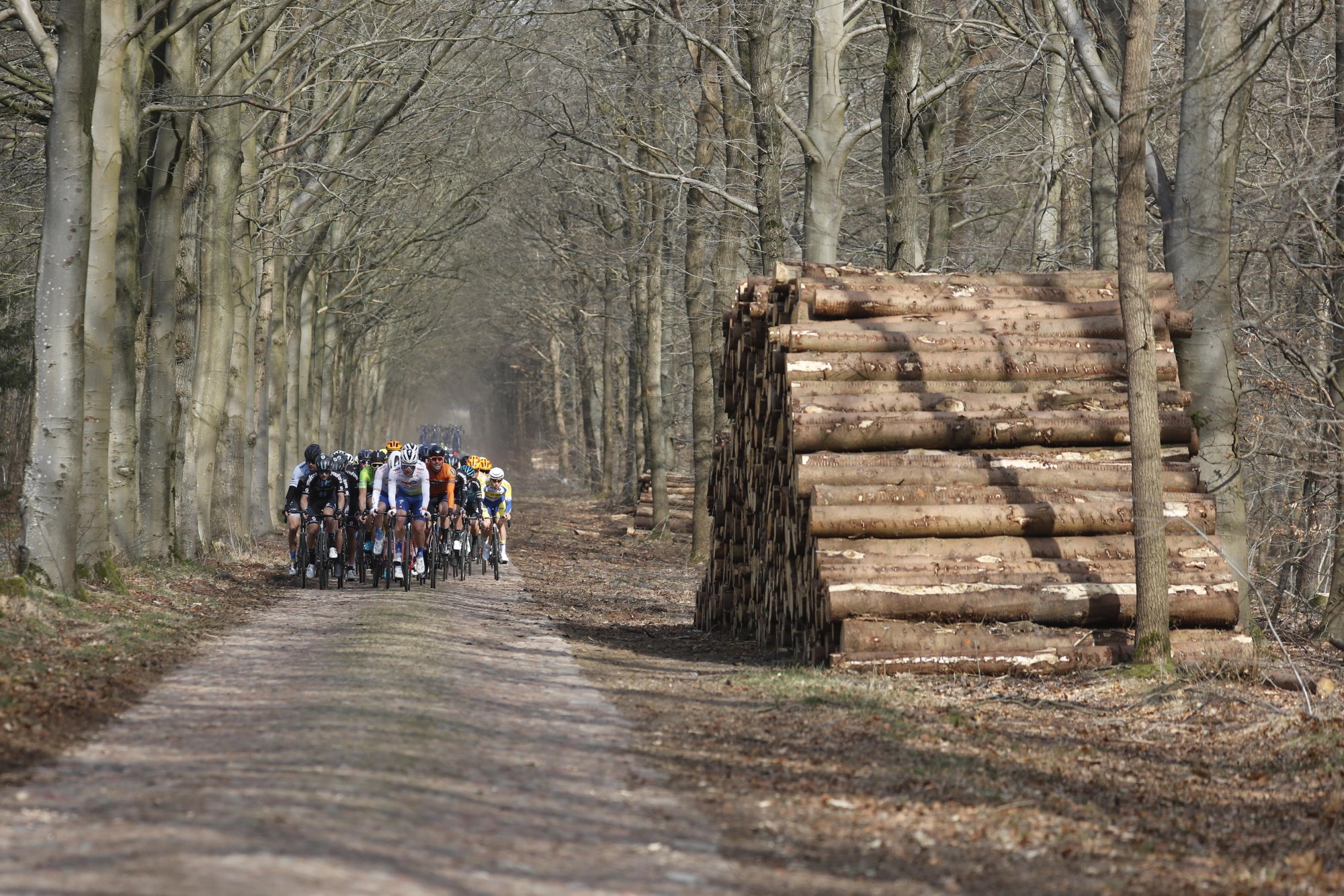 Profronde van Drenthe 2022 kasseistrook