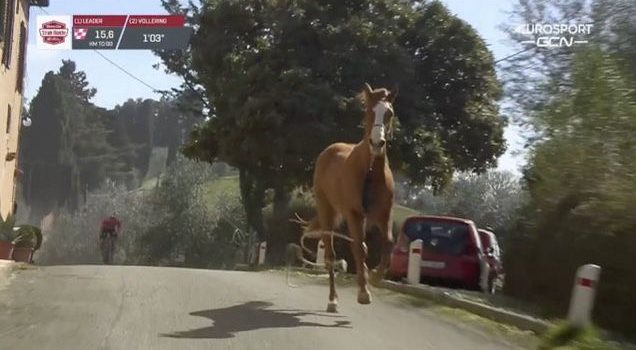 Strade Bianche-paard besproken in De Avondshow: “Afdaling niet goed verkend”