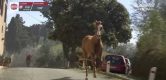 Is hét paard van Strade Bianche terug? Puck Pieterse oog in oog met dier tijdens verkenning