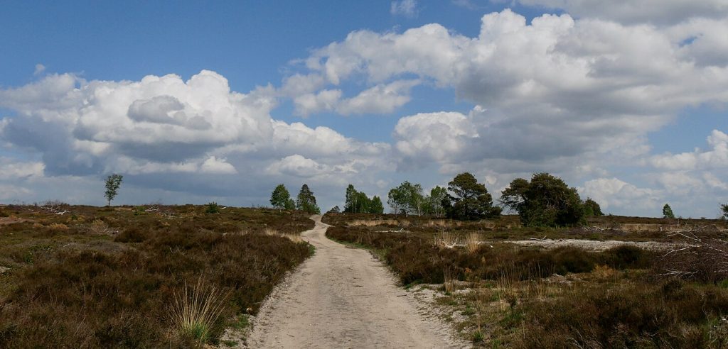 Heuvels in Holland: de Holterberg in Overijssel