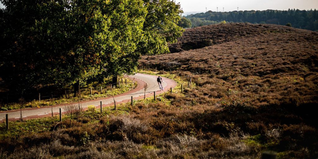 Heuvels in Holland: de Posbank