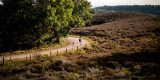 Natuurmonumenten stapt naar rechter uit protest tegen parcours NK wielrennen