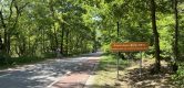 Heuvels in Holland: de Amerongse Berg