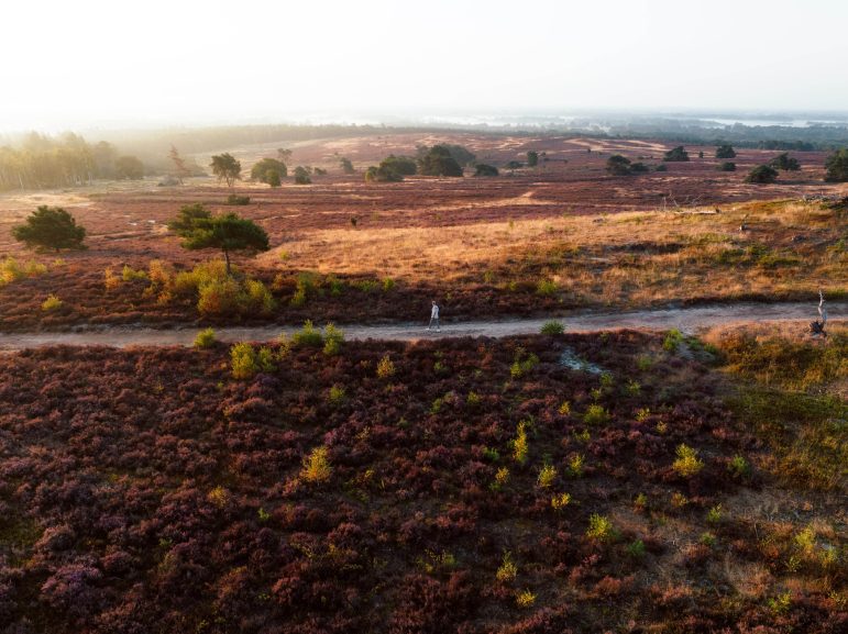 Nieuwe fietsroute ‘Landschap vol Smaak’ brengt natuur en gastronomie samen in Salland