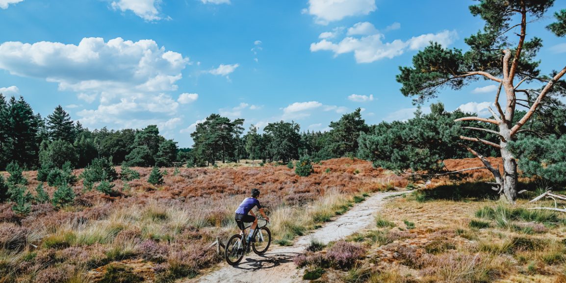 Maak je fietsvakantie in Nederland onvergetelijk met AVIS