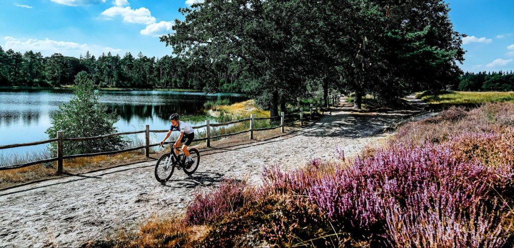 Vijf natuurgebieden in Nederland die een bezoek waard zijn met de gravelfiets