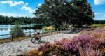 Vijf natuurgebieden in Nederland die een bezoek waard zijn met de gravelfiets