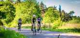 Op zoek naar nieuwe wegen in Limburg: door de natuur rondom Weert