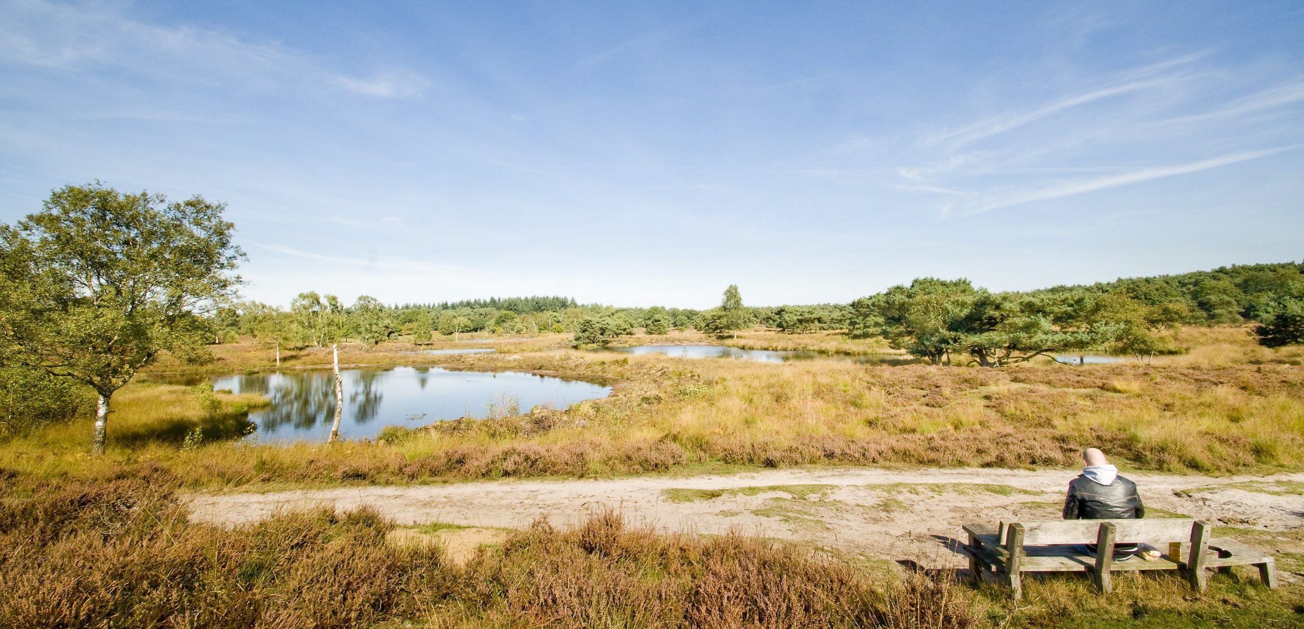 Op zoek naar nieuwe wegen in Limburg: natuurschoon in het stroomgebied