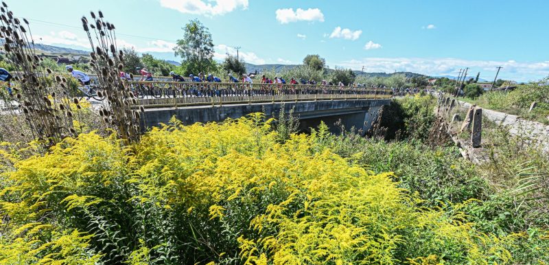 Van uitstel komt afstel voor de Ronde van Roemenië 2023