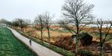 Na vier jaar beslist Raad van State over fietspad bij Dokkum