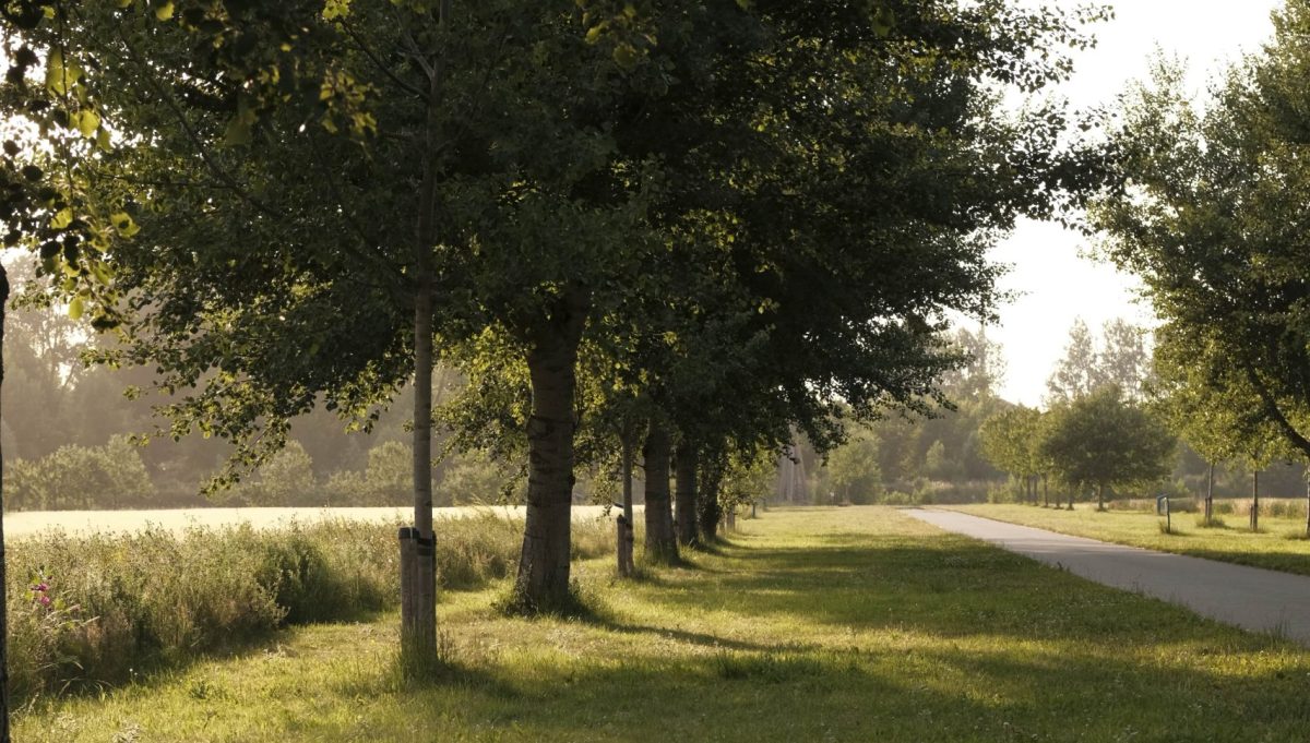 Haren en Zuidlaren krijgen doorfietsroute, met speciale recreatieve aftakking