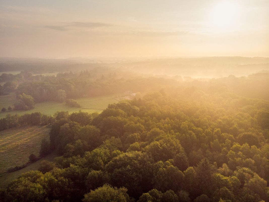 De mooiste fietsroutes van Nederland: kronkelen door een schilderachtig Twents landschap