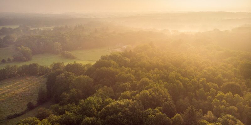 De mooiste fietsroutes van Nederland: kronkelen door een schilderachtig Twents landschap