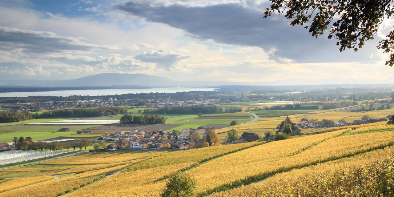 Fietsen tussen de toppen van de Jura en het meer van Genève in Nyon