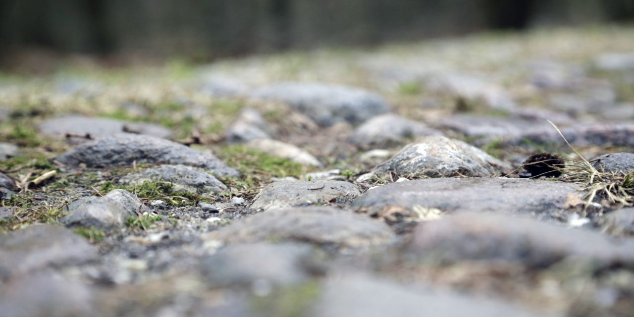 Van top- naar breedtesport: organisatie Ronde van Drenthe zet in op toertochten