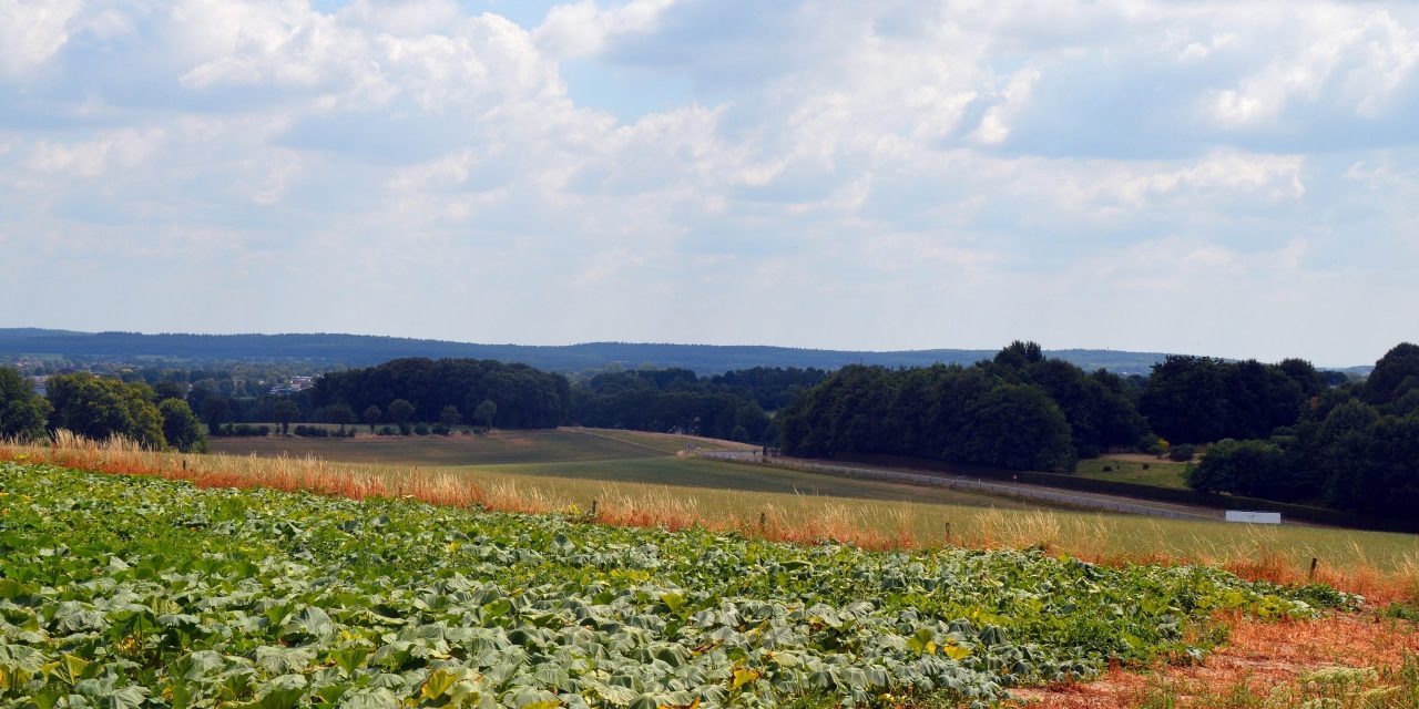 Heuvels in Holland: De Oude Holleweg in Berg en Dal