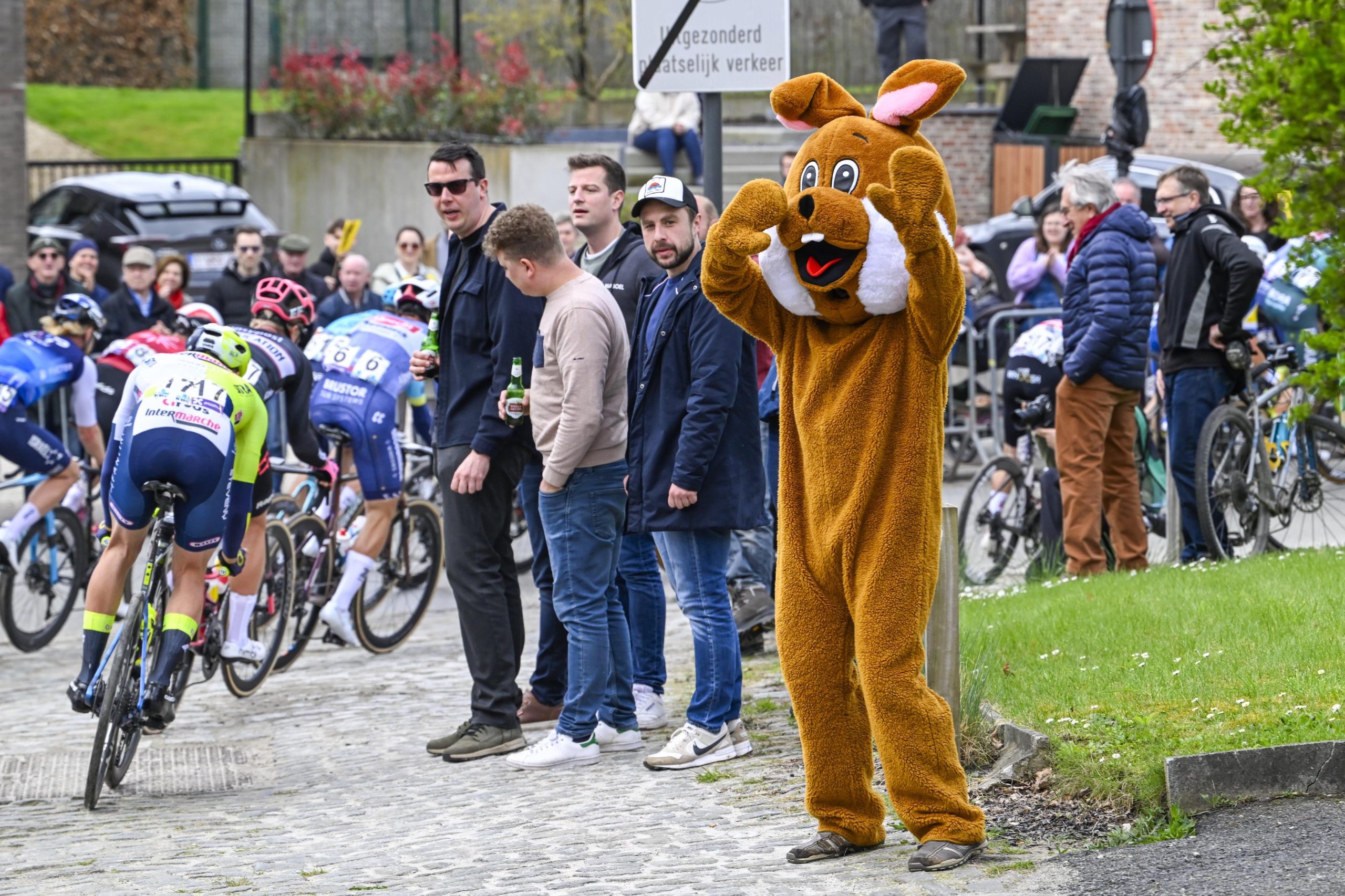 Dit heb je tot nu toe gemist in de Ronde van Vlaanderen 2024 | WielerFlits