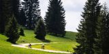 Geniet van de schoonheid van Alpes Vaudoises 