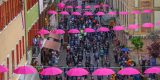Giro 2025: Dit zijn de etappes in de Giro d’Italia 2025