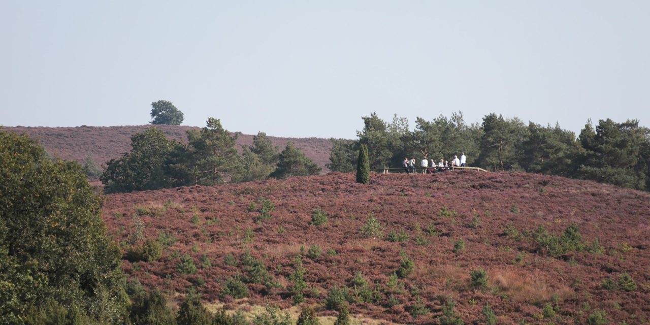 Heuvels in Holland: De Lemelerberg in het natuurrijke Overijssel