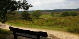 Heuvels in Holland: De Zijpenberg op de Veluwe is de onbekende buurman van de Posbank