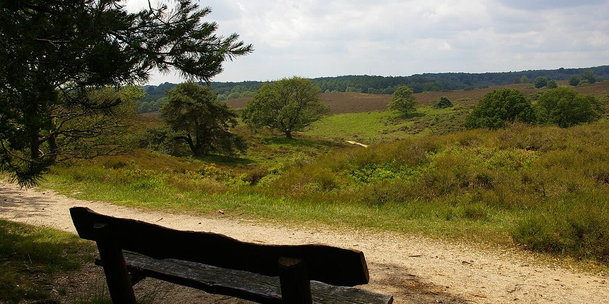 Heuvels in Holland: De Zijpenberg op de Veluwe is de onbekende buurman van de Posbank