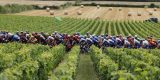 Winactie: Voorspel de winnaar van etappe 14 in de Tour en win een set Supacaz Fly Carbon-bidonhouder