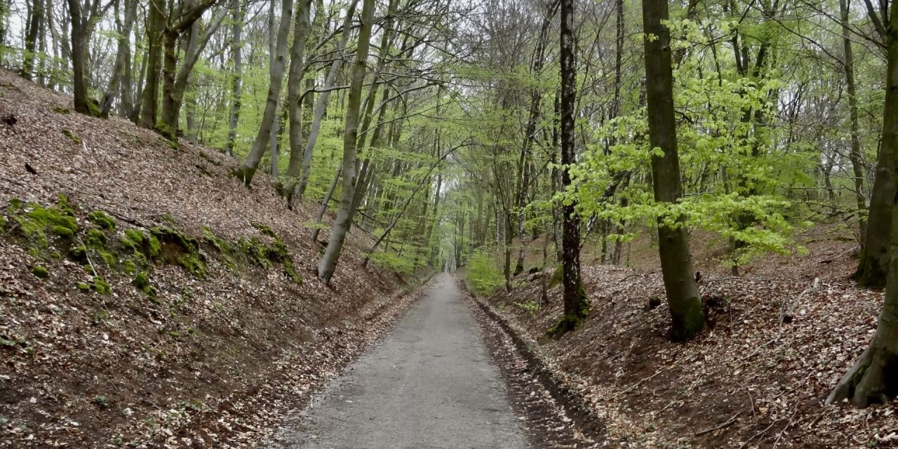 Heuvels in Holland: de Holleweg bij Doorwerth is een sluipmoordenaar
