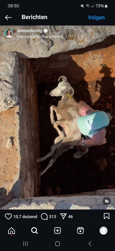 ‘GOAT helps goat’: Demi Vollering redt geitje tijdens vakantie in Griekenland