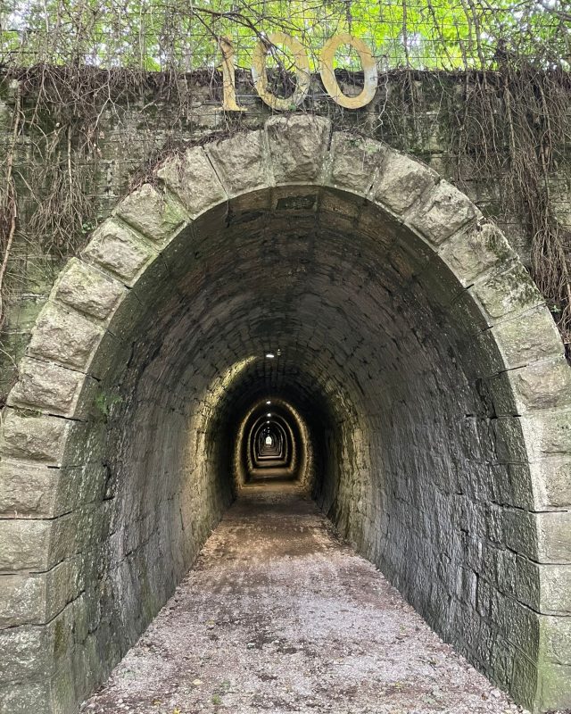 1136141