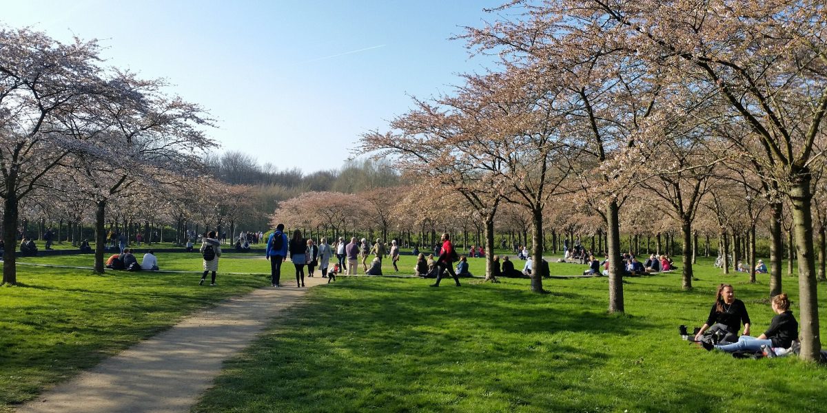 Amsterdamse Bos krijgt nieuwe entree, ‘fietsers moeten prioriteit worden’