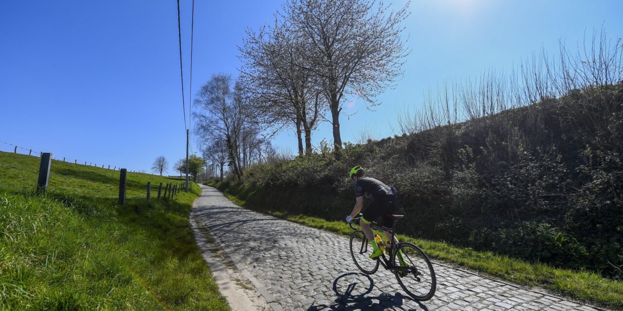 De Oude Kwaremont is fysiek zwaar én tactisch interessant