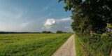 Noordoostpolder krijgt twee nieuwe recreatieve fietspaden