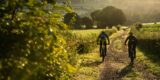 Uitspraak Raad van State geeft juridische steun aan MTB-routes in Nederland
