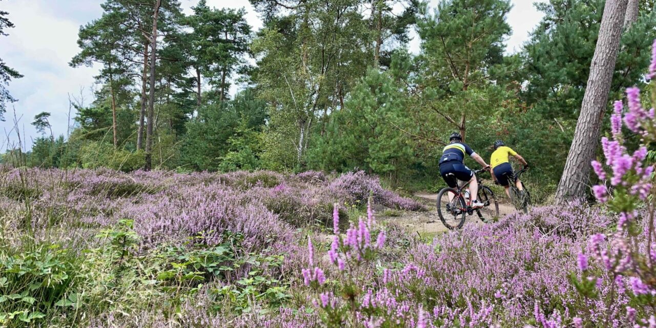 Mountainbikeroute Sallandse Heuvelrug heropend na sluiting voor natuurbehoud