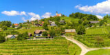 Fietsen in Slovenië, het land van Tadej Pogacar