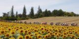 NPO Radio 1 Tourcafé weer geopend tijdens slotweek Tour de France