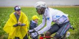 Wat kan Biniam Girmay in derde Tour-rit na botsing met knie? “Het lijkt goed te zijn”