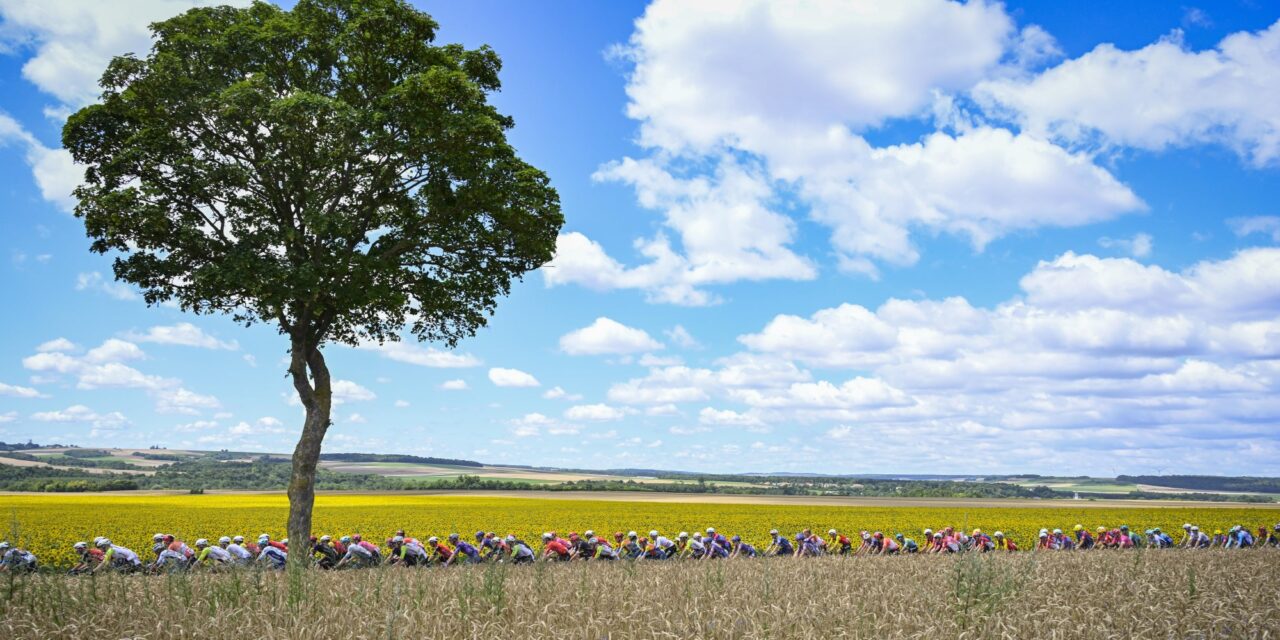 ‘UCI gaat ketonen definitief goedkeuren na jarenlange studie’