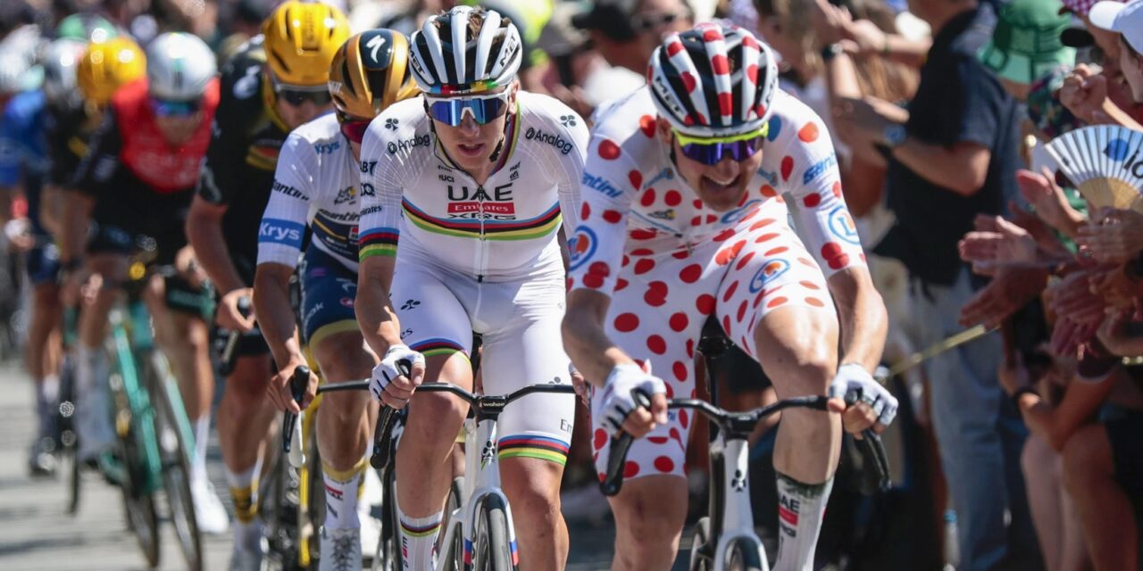 Tim Wellens geeft geheimen van kopman Tadej Pogacar prijs: “Als hij een witte broek aantrekt…”