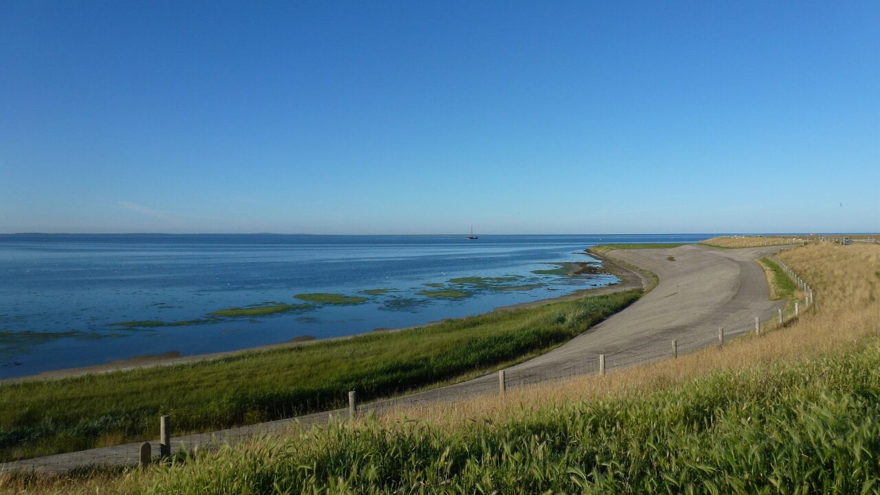 Gemeenten maken geld vrij voor fietsroute langs de Waddenzee door uniek gebied