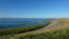 Gemeenten maken geld vrij voor fietsroute langs de Waddenzee door uniek gebied